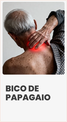 BICO-DE-PAPAGAIO-copiar-1.webp